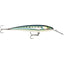 Rapala CountDown Magnum Elite 145 - 5-3/4" - Armored Sardine [CDMAGE145AMSRD]