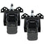 CargoBuckle Universal Ladder Rack Tie-Down System - 2